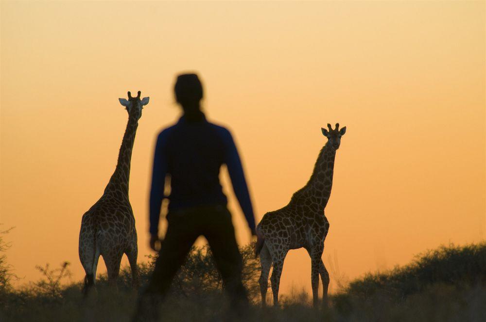 Kubu Safari Lodge Hoedspruit Εξωτερικό φωτογραφία